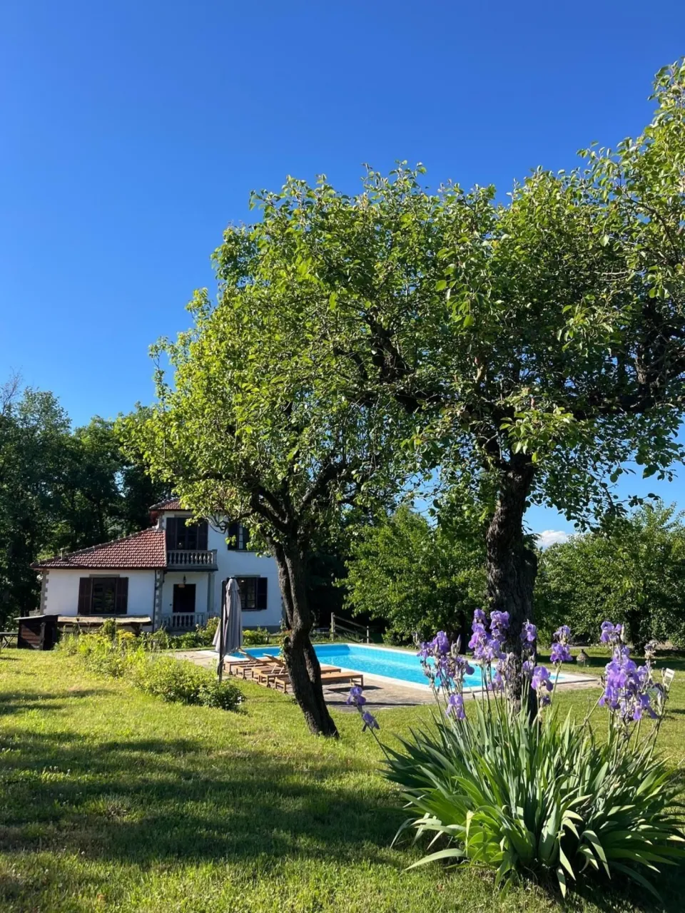 House with pool surrounded by greenery and purple flowers