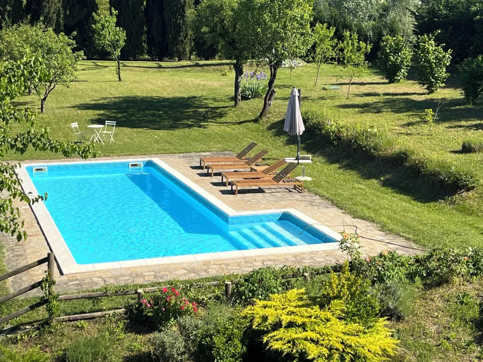 Rectangular pool with a stone edge and lawn