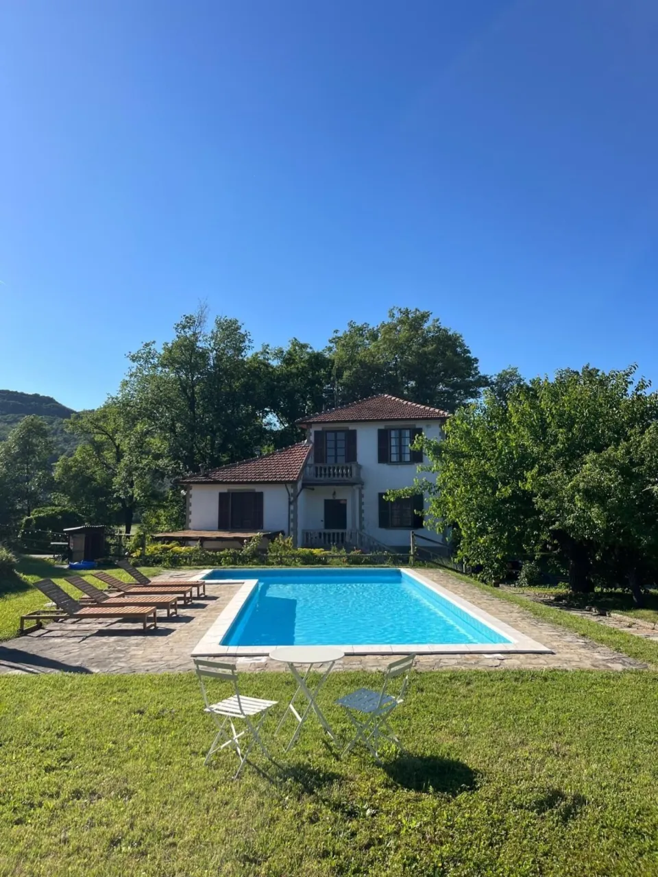 House with pool surrounded by greenery