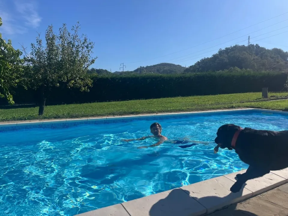 Swimming pool
