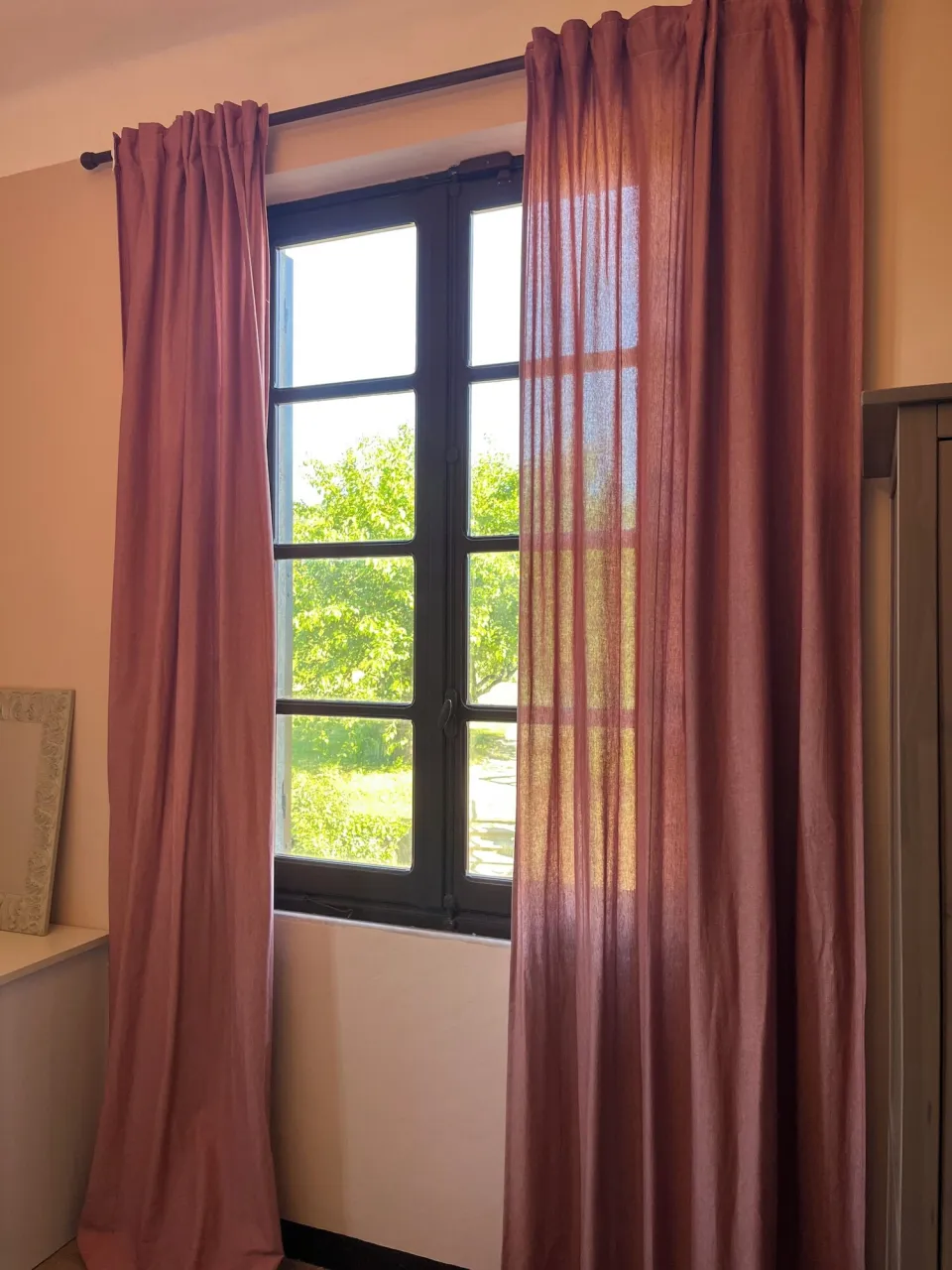 Black-framed window with a view of the greenery