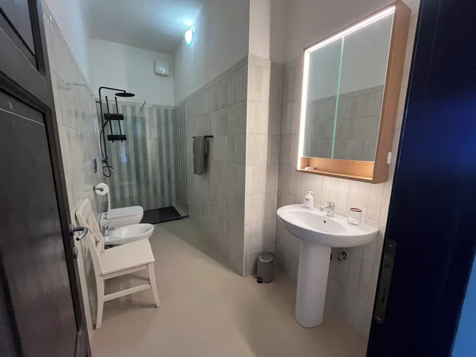 Bathroom with a toilet, sink, shower and mirror