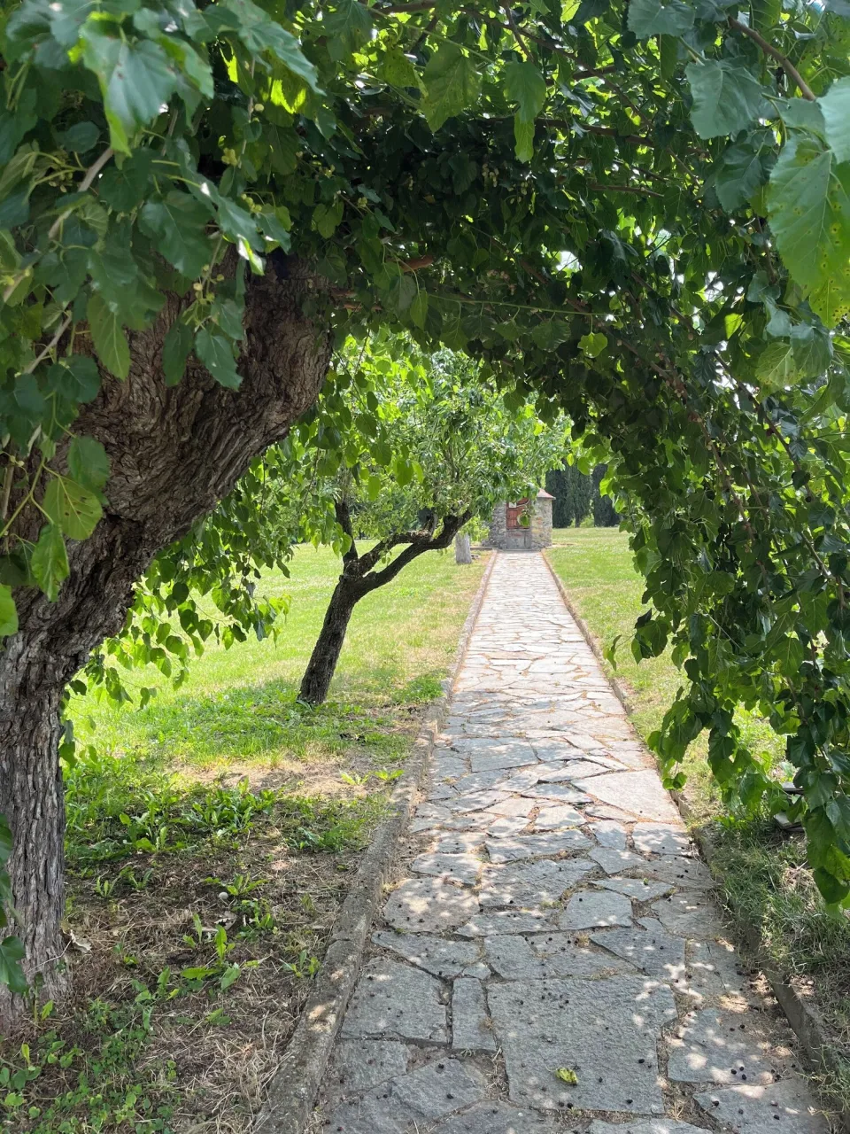 Grounds of the property