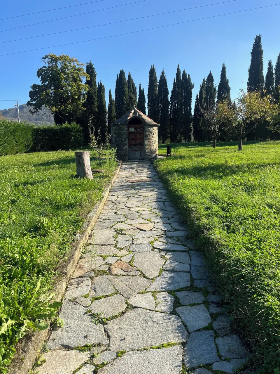 Grounds of the property