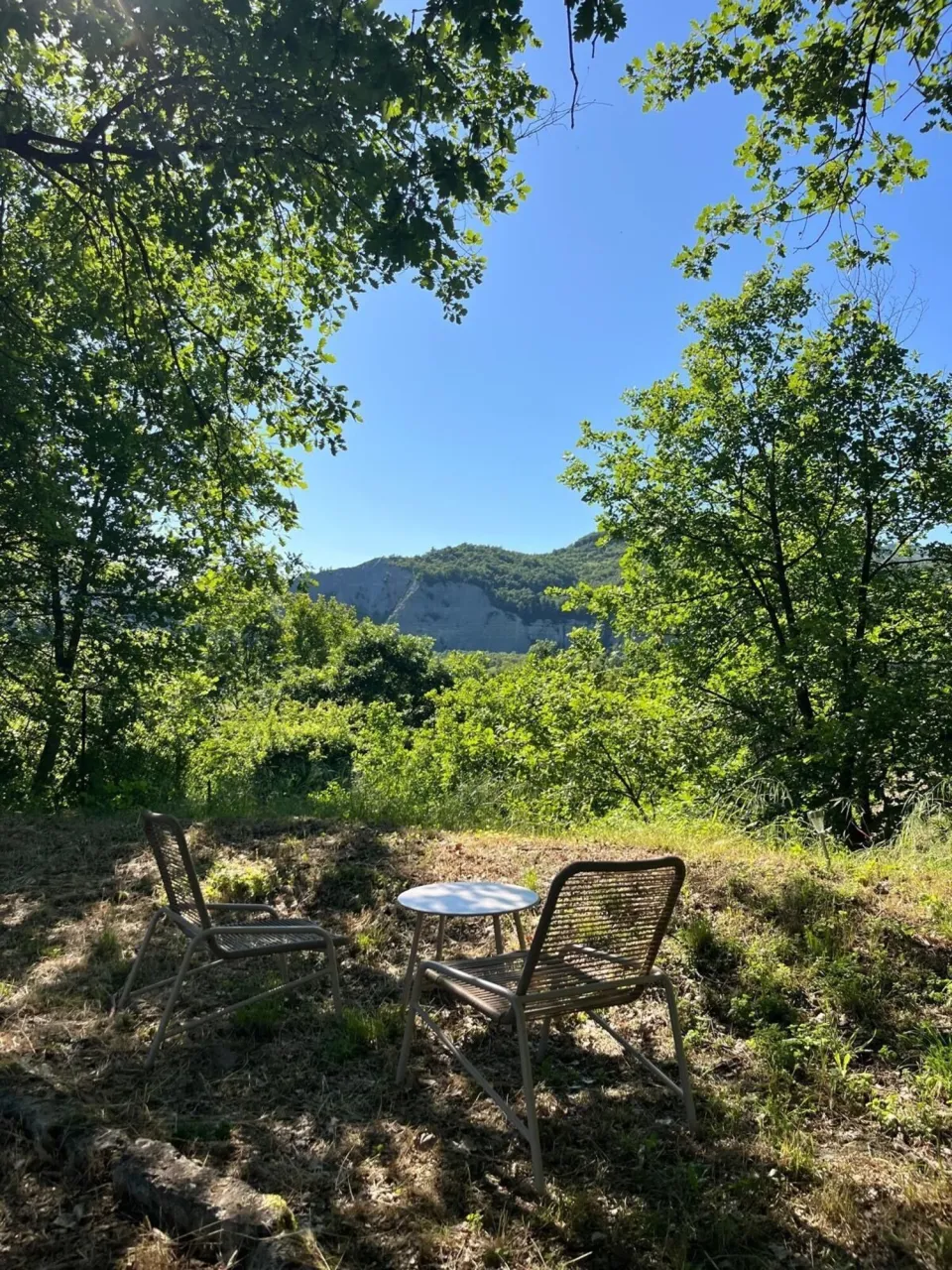Two wicker chairs and a small table with trees and a mountain behind