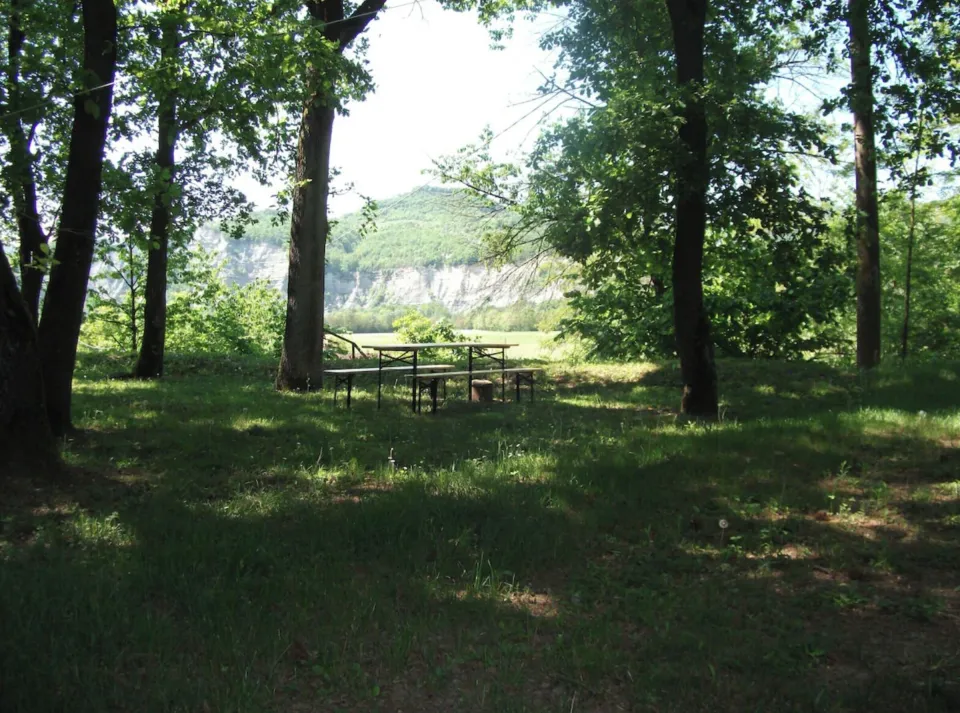 Grounds of the property
