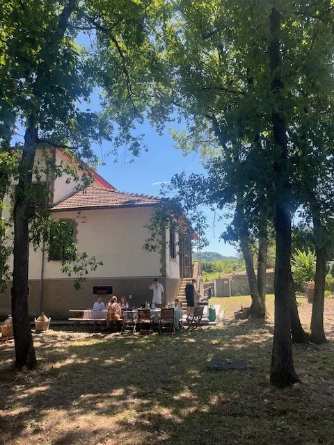 Terrace with dining table
