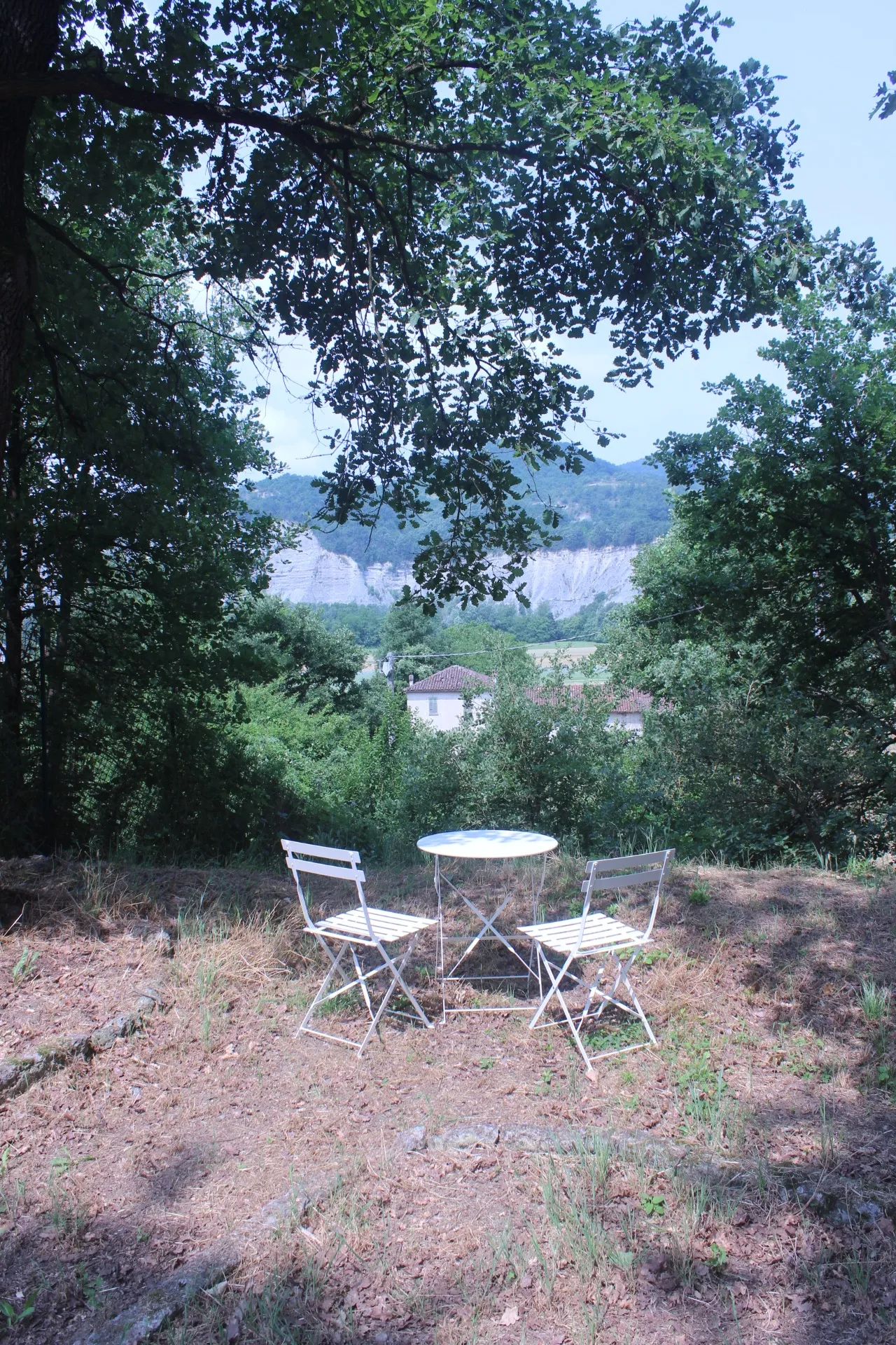 Garden with a view